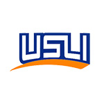 USLI image